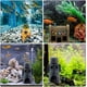 thumbnail image 5 of Decoración de acuario, juego de 3 adornos acuáticos, adornos de resina para acuario, adorno de piña no tóxico, accesorios para pecera, 5 of 5