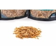 thumbnail image 3 of Turtle Treats Fluker's Grub Sag, camarones liofilizados, 170 g, 3 of 3