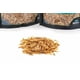 thumbnail image 3 of Turtle Treats Fluker's Grub Sag, camarones liofilizados, 170 g, 3 of 3