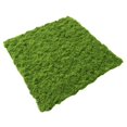 thumbnail image 1 of Bgsha Simulation de Mousse Filamenteuse Fausse Mousse pour Pelouse Bonsaï en Pot, 1 of 10