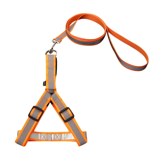 Xihbxyly Collar para Perro, Cuerda de Tracción de Nailon Antipérdida, Diseño Reflectante para Un Viaje Seguro, Correa de Entrenamiento Transpirable, Ideal para Caminar y Entrenar Al Aire Libre, para