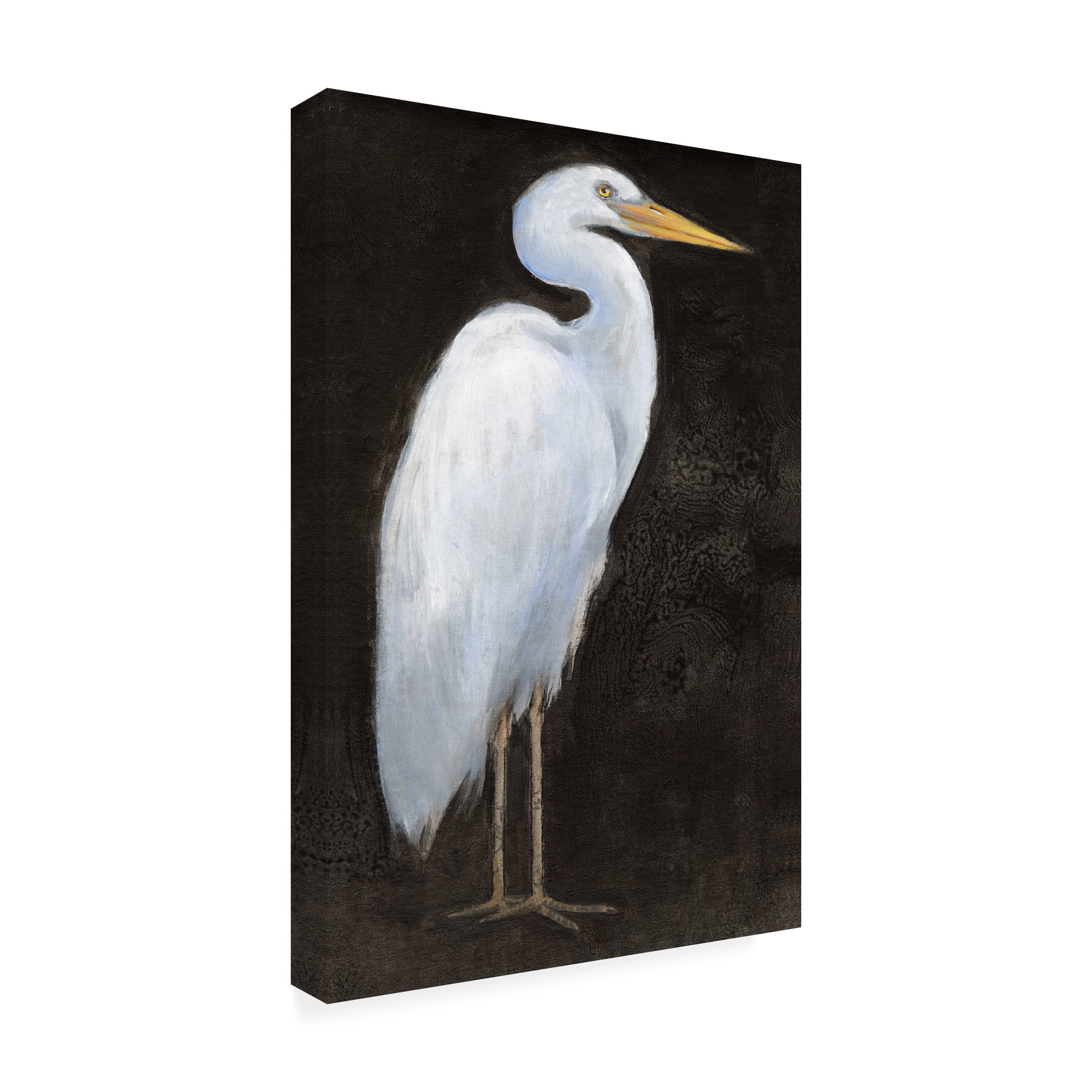 Tim O'Toole 'White Heron Portrait I' Canvas Art