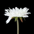 thumbnail image 3 of 5pcs flor artificial de la margarita del gerbera para la decoración del hogar de la boda (blanco), 3 of 5