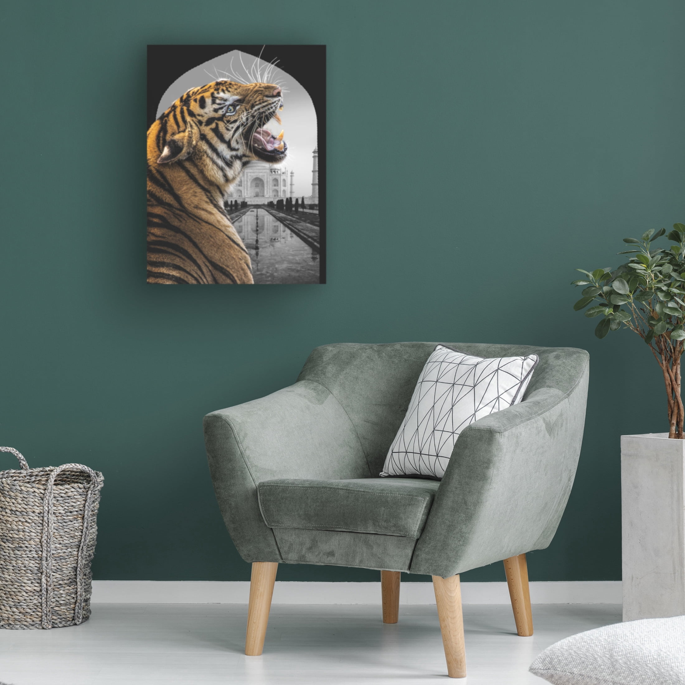 Trademark Fine Art Fadil Roze  Bengali Stare Canvas Wall Art