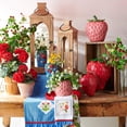 thumbnail image 3 of RAZ Imports 9.5" Red Geranium Potted Flowers for Mother's Day, 3 of 5
