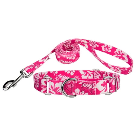 - Country Brook Design® Pink Hawaiian Martingale Dog Collar & Leash