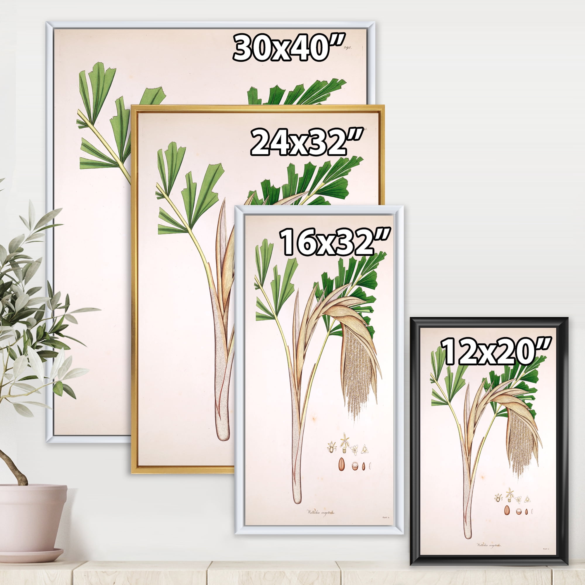 Designart 'Ancient Plant Life XV' Farmhouse Framed Canvas Wall Art Print
