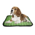 thumbnail image 2 of PKQWTM Green Soccer Field From Top View Pet Dog Cat Bed Pee Pads Mat Cushion Potty Dogs Blankets Crate Bed Kennel 36x48 inch, 2 of 3