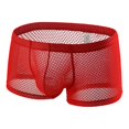 thumbnail image 1 of AnuirheiH Men's Lingerie Boxer Shorts Mesh Breathable Sexy Underpants Clearance, 1 of 3