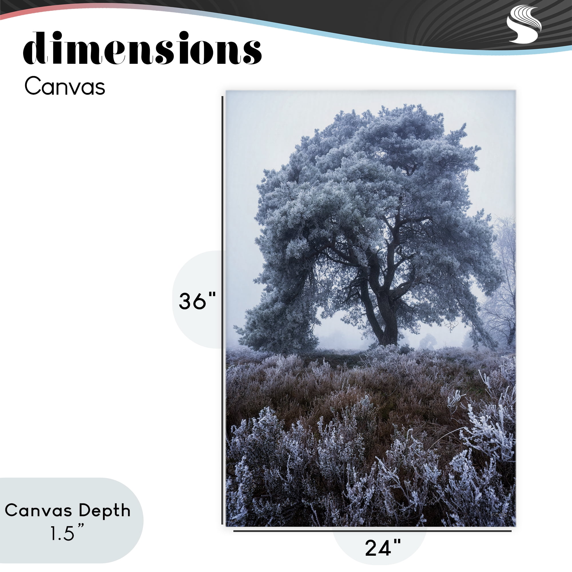 Stupell Industries Frosted Tree in Winter Mist Canvas Wall Art, design by Martin Podt