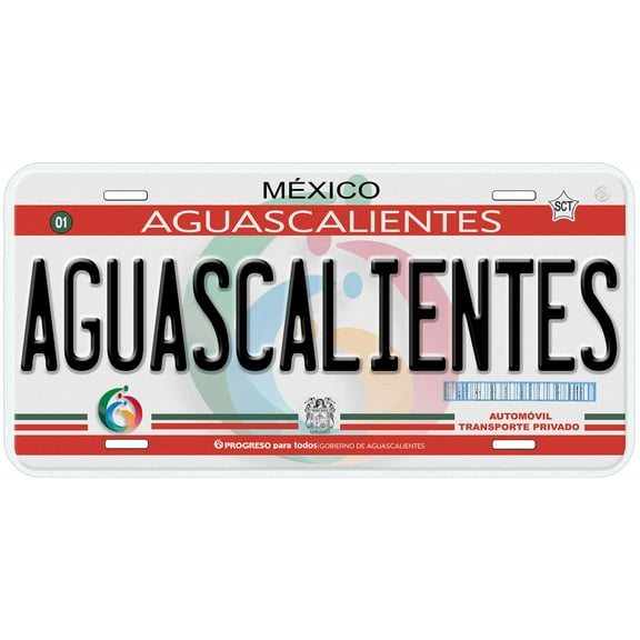 Aguascalientes Mexico Novelty Car License Plate