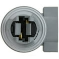 thumbnail image 4 of WVE 1P3342 Tail Light Socket, 4 of 5