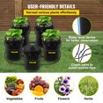 VEVOR DWC Hydroponic Bucket System, 5 Gallon 5 Buckets, Deep Water