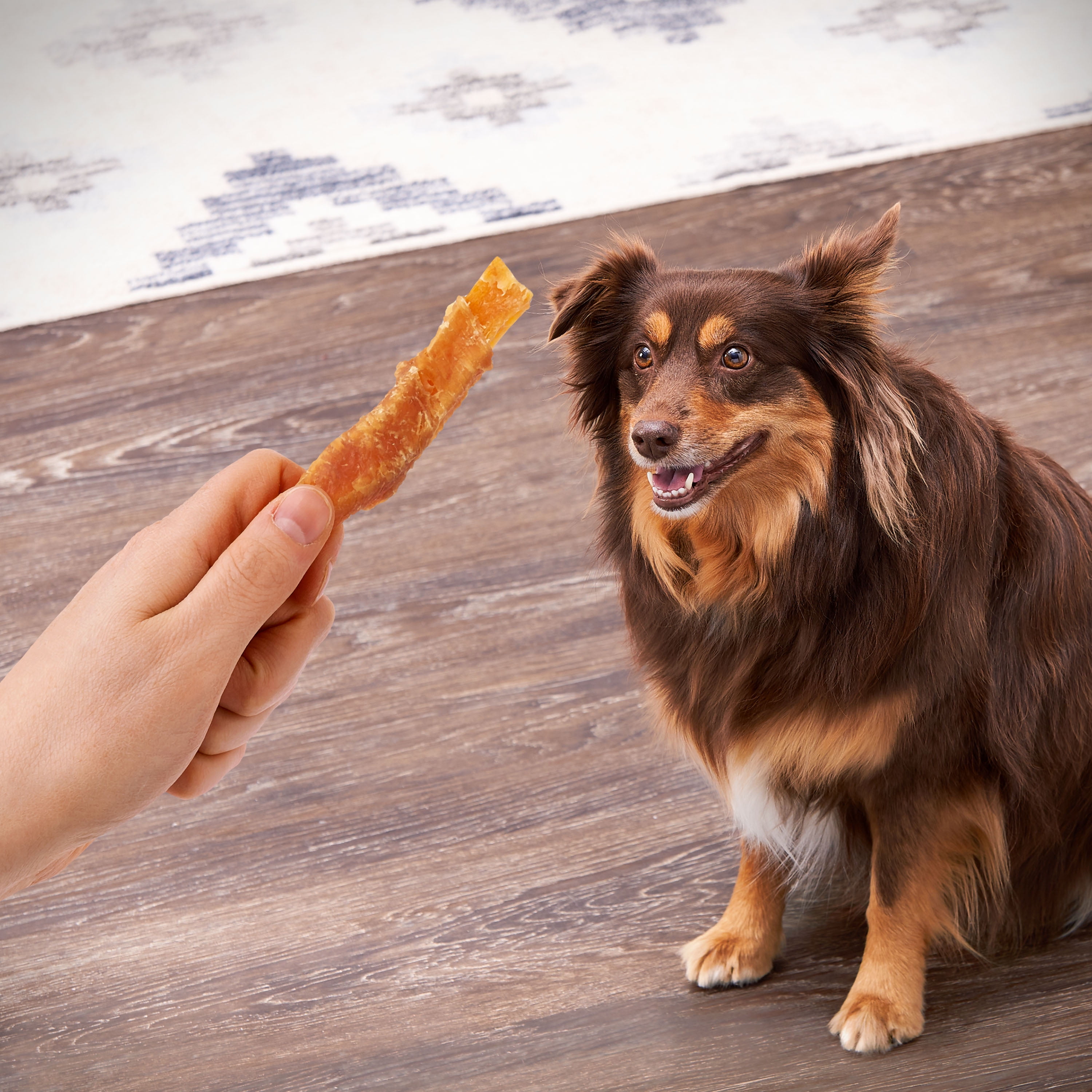 sweet potato wrapped with golden rewards dog treats