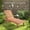 Natural Wood + Wood, variant on Outdoor Chaise Lounge with Built-In Table, Reclining Backrest for Sunbathing, Rolling Wheels, Natural Wood, 71.7L x 23.6W x 13.8H