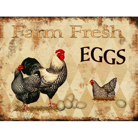 Vintage Red Tin Barnyard Designs Farm Fresh Eggs Retro Vintage Tin Bar Sign Country Home Decor 13
