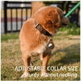 thumbnail image 2 of Suitable for AirTag Dog Collar — 100% Genuine Leather Dog Collar with Apple AirTag Holder, Suitable for Small Dogs, 2 of 10