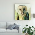 thumbnail image 3 of Trademark Fine Art 'Harlequin Hibou I' Canvas Art by Grace Popp, 3 of 4