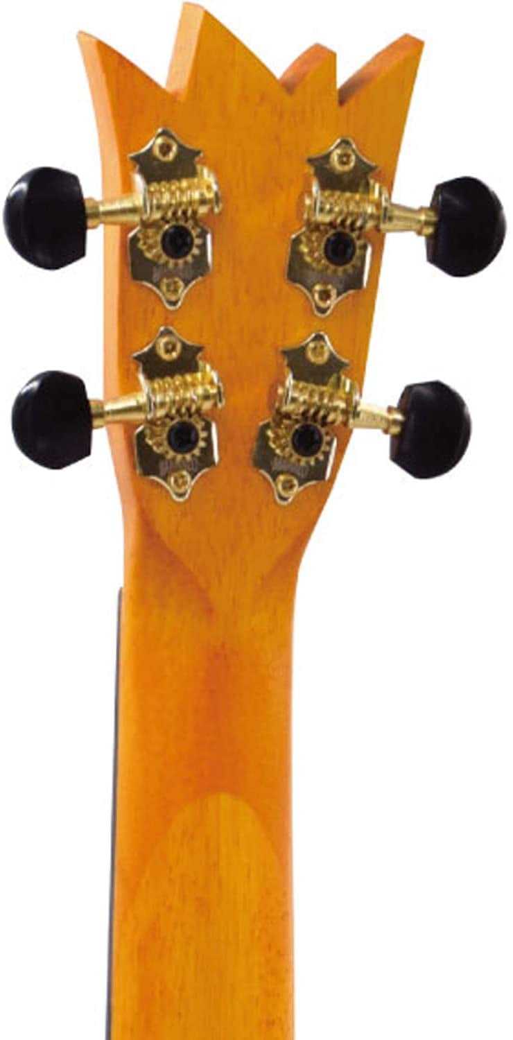 Art Series Soprano Ukulele w/Bag Pineapple Style