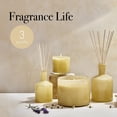 thumbnail image 4 of Difusor Reed LAFCO New York Classic Manzanilla Lavanda 180 ml, 4 of 6