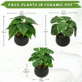 thumbnail image 3 of 3PCS Artificial Plants Potted Mini Fake Plants in Black Ceramic Pots Faux Greenery Plants Home Décor, 3 of 6