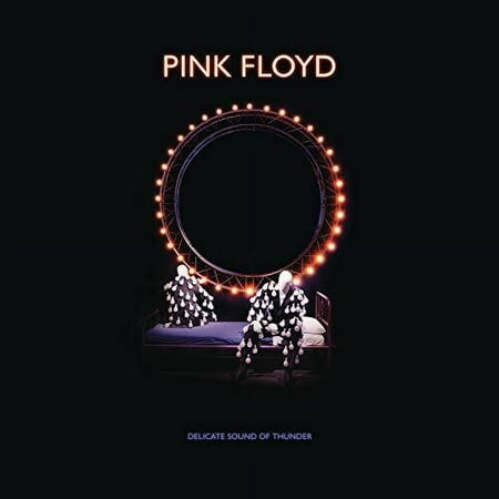 Pink Floyd - Delicate Sound Of Thunder Deluxe Box Set - Music & Performance - CD