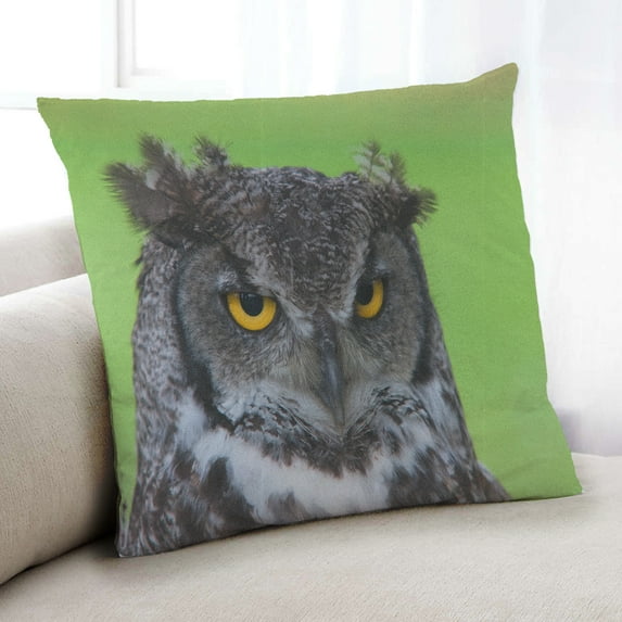 Ahgly Company Animals Owl Indoor Throw Pillow, 18 inch by 18 inch