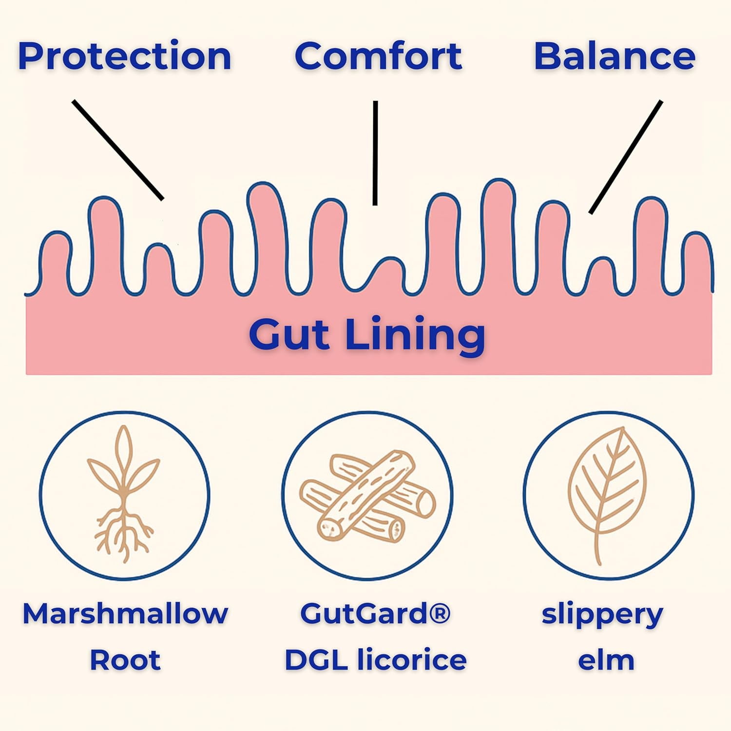 Gut Health & Digestive Support Supplement – Chewable Wafers with GutGard® DGL, Slippery Elm & Marshmallow Root – Supports Gut Lining, Mucosal Integrity, Bloating & Heartburn Relief