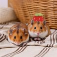 thumbnail image 3 of Adorable Hat for Small and Cats with Adjustable Strap Soft Breathable Outdoor, 3 of 4