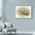 thumbnail image 3 of Trademark Fine Art 'Rhino Baby' Canvas Art by Peggy Harris, 3 of 3