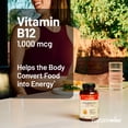thumbnail image 3 of NatureWise Vitamin B12 1000 mcg - Gluten-Free, Non-GMO - 60 Softgels[60-Day Supply], 3 of 11