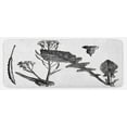 thumbnail image 1 of Black and White Kitchen Mat, Sketch Art Style Root Vegetable Leaves Turnip and Flowering Mustard Plant, Plush Decorative Kitchen Mat with Non Slip Backing, 47" X 19", Black White, by Ambesonne, 1 of 1