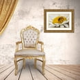 thumbnail image 3 of Illg, Cathy and Gordon 24x17 Gold Ornate Wood Framed with Double Matting Museum Art Print Titled - Colorado, Jefferson Co Honey bee on daisy, 3 of 4