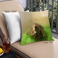 thumbnail image 1 of Ahgly Company Animals Turtle Outdoor Throw Pillow, 18 inch by 18 inch, 1 of 6