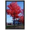 thumbnail image 4 of Medog 11X14 Picture Frame Black Poster Frame 14X11 Picture Frame In Black With Mat Opening 8X10 Set Of 1 Display Pictures 11X14 Inch 8X10 Black Picture Frame Wall Mounting 11X14 Photo Picture Frame (P, 4 of 4