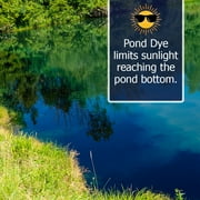 Reflective Black Pond Dye Concentrated Quart