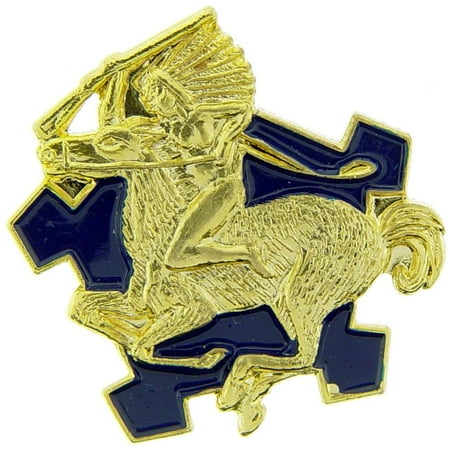 U.S. Army 9th Cavalry Regiment Pin 1