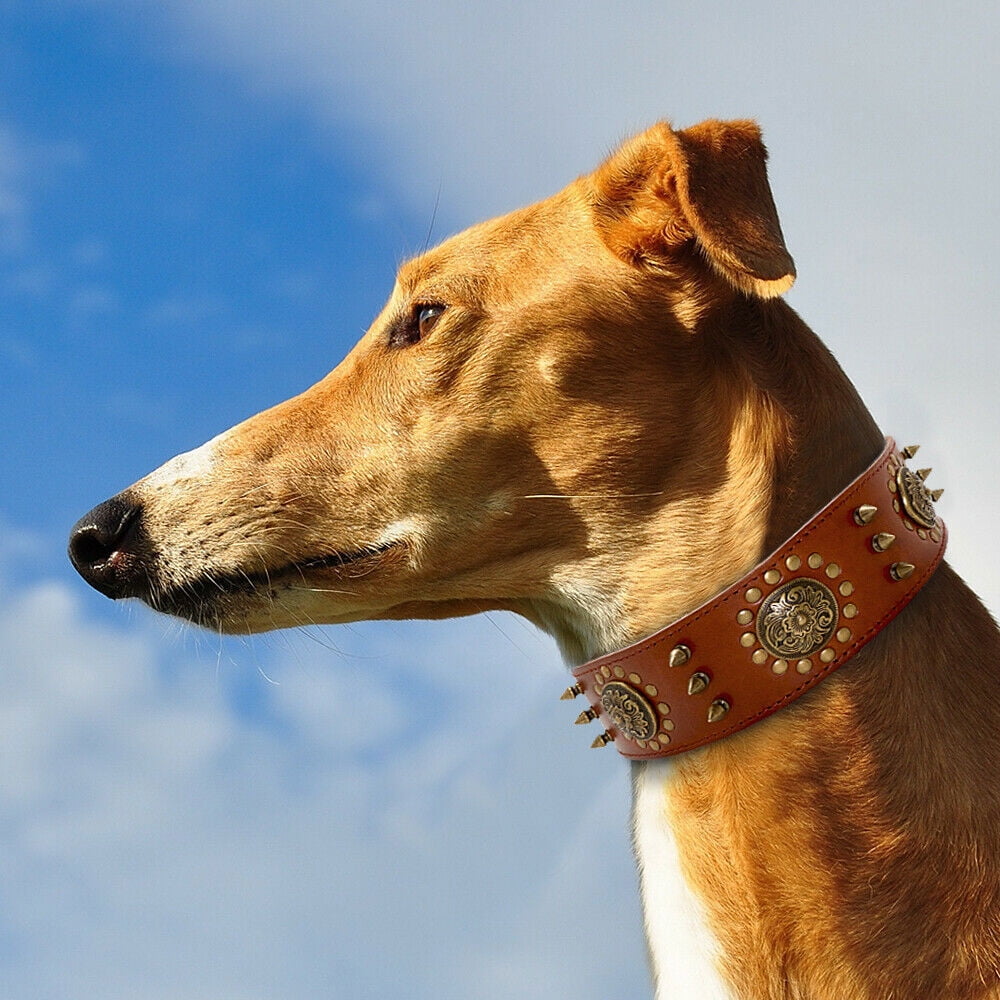 Beirui Luxury Spike Studded Genuine Leather Dog Collar Durable Adjustable for Medium Large Breed Doberman Pitbull German Shepherd L XL