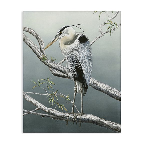 Stupell Industries Traditional Traditional Heron on Branch Canvas Art, 16 x 20, by Christine Reichow