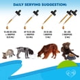 thumbnail image 5 of Herbal Respiratory & Immune Support Drops for Dogs & Cats – Cough & Throat Comfort, 5 of 9