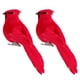 thumbnail image 1 of TENDYCOCO 2 Piezas Figuras Decorativas de Aves Simuladas Artesanía de Aves Festival Decoración de Bodas Fiestas Adorno para el hogar (Rojo), 1 of 7