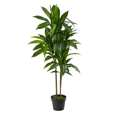 Nearly Natural 48" Dracaena Artificial Plant (Real Touch), Green