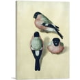 thumbnail image 1 of ARTCANVAS Three Studies of a Bullfinch Canvas Art Print by Albrecht Durer - Size: 18" x 12" (1.50" Deep), 1 of 9
