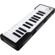 thumbnail image 4 of Arturia MicroLab 25 teclas USB MIDI driver de teclado, 4 of 6