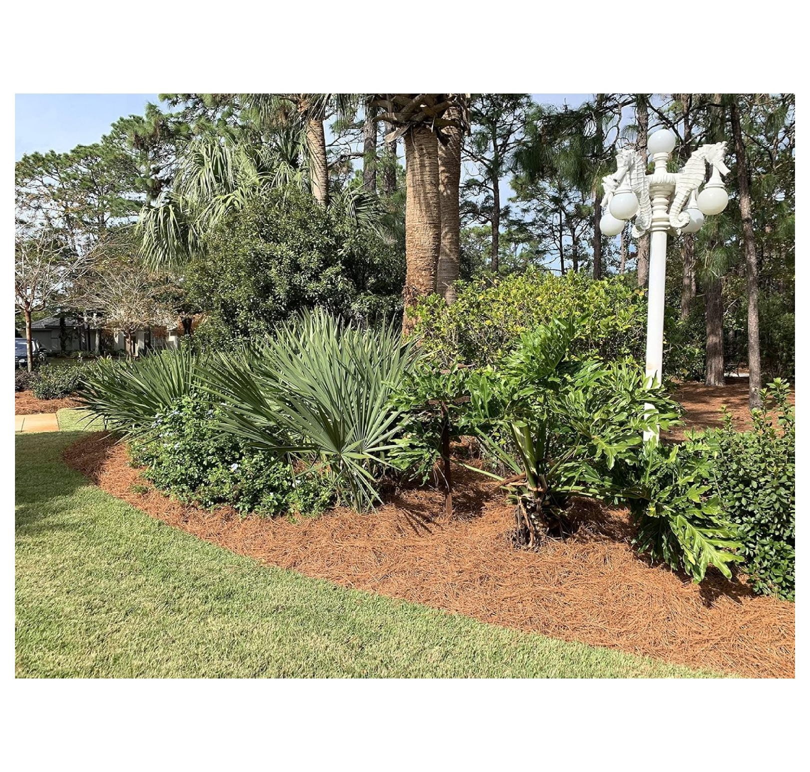 Longleaf Pine Straw - Landscaping Straw for Garden Beds - UV Protected Pine Needles - 90 sq ft Coverage - Natural Brown Mulch for Landscaping