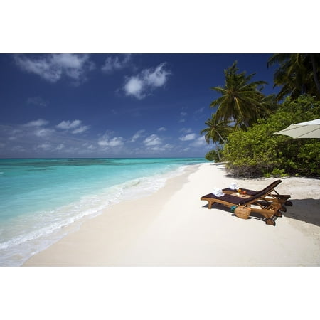 Border Print Lounger LAMINATED POSTER White Sand Beach Ocean Loungers Tropical Vacation Poster Print 24 x 36 ()