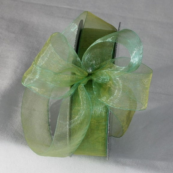 The Ribbon People Grass Green and Blue Shimmering Crystal Organdy Ribbon 1" x 55 Yards
