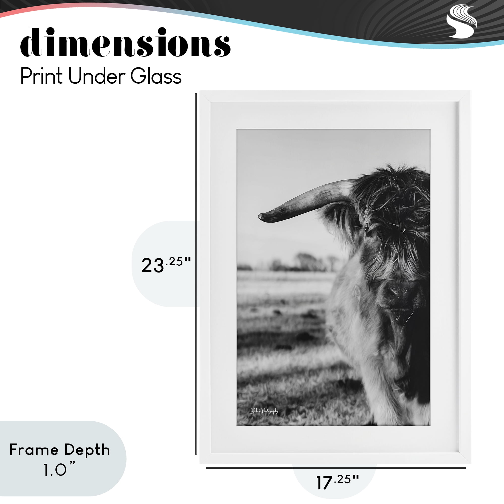 Stupell Industries Baby Cattle in Monochrome White Framed Print Under Glass, design by Dakota Diener