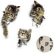 thumbnail image 2 of Pegatinas de pared Pegatinas de pared Calcomanías de pared de gatos 3d Pegatinas de baño combinadas Pegatinas de nevera impermeables Pegatinas de puerta Decoración de pared de cocina Namotu MZQ-0648, 2 of 7