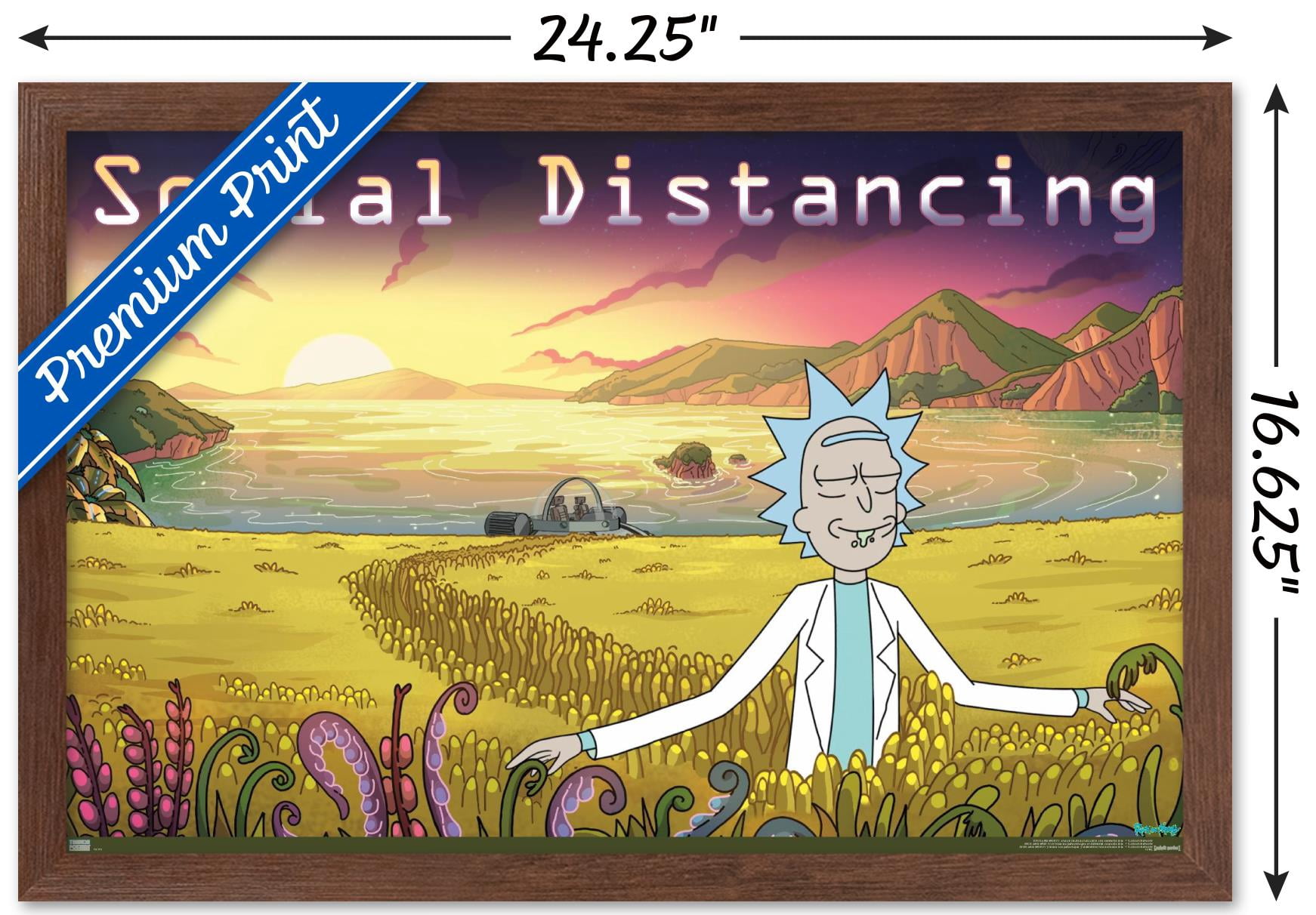 Rick And Morty - Social Distancing Wall Poster, 14.725" x 22.375" Framed